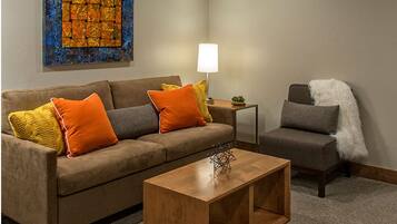 TV, fireplace, video games, ping pong