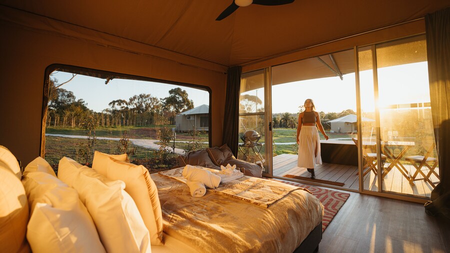CANVS by CABN Seppeltsfield Barossa