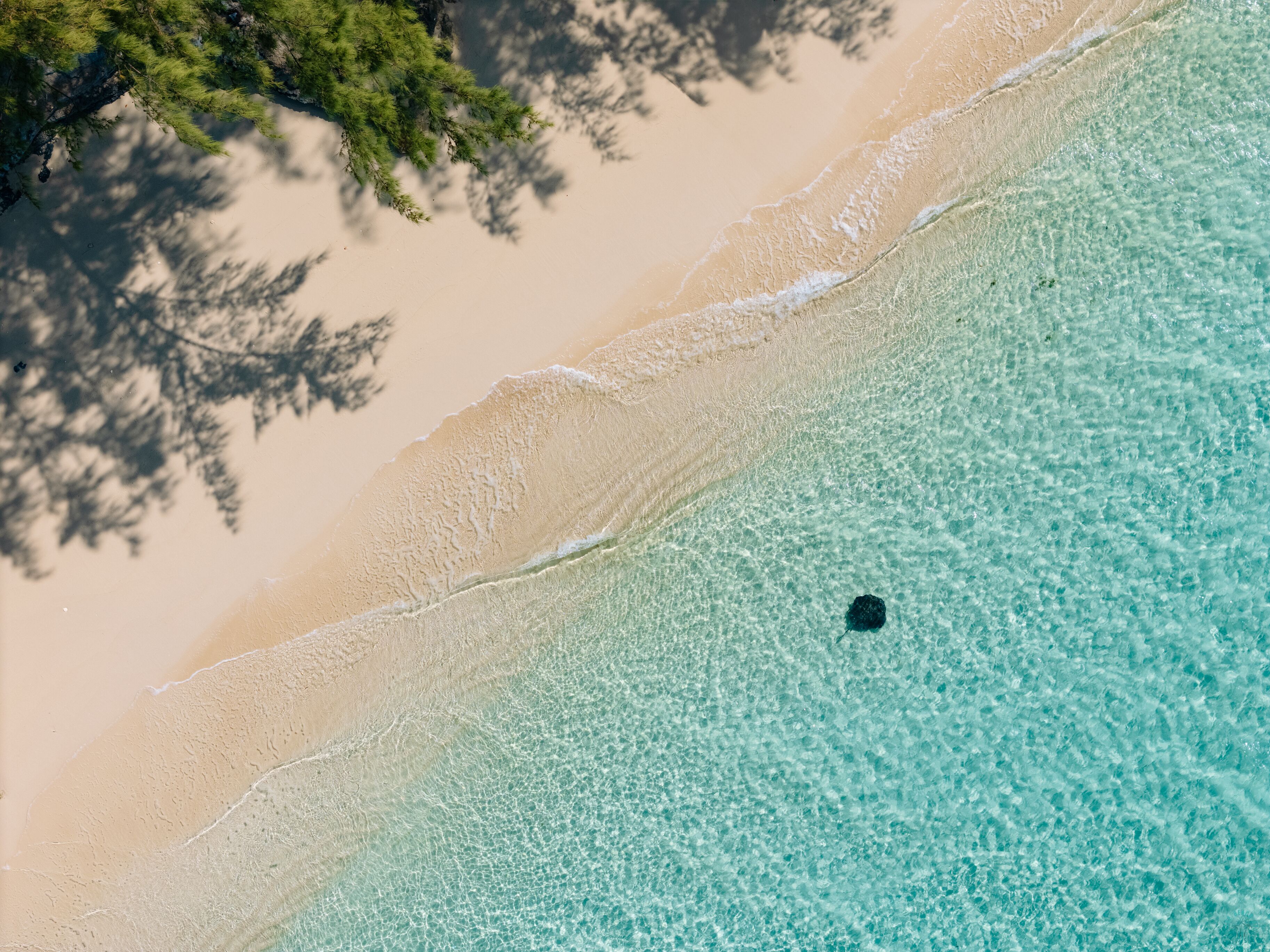 Am Strand, Strandtücher
