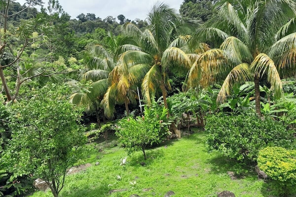 Standard Cabin, 1 Bedroom, Garden View, Mountainside | Garden view