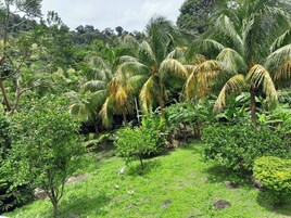 Cabaña estándar, 1 habitación, vistas al jardín, junto a la montaña | Vistas al jardín