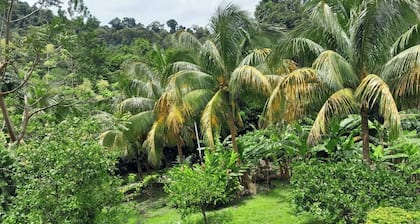 Pinard's Mountain Resort - Cottage 5