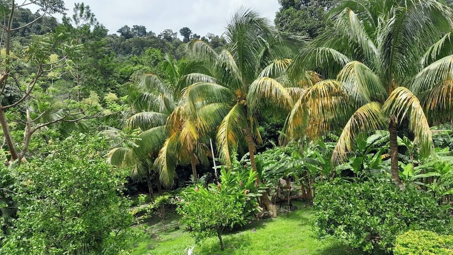 Pinard's Mountain Resort - Cottage 5