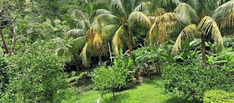 Pinard's Mountain Resort - Cottage 5