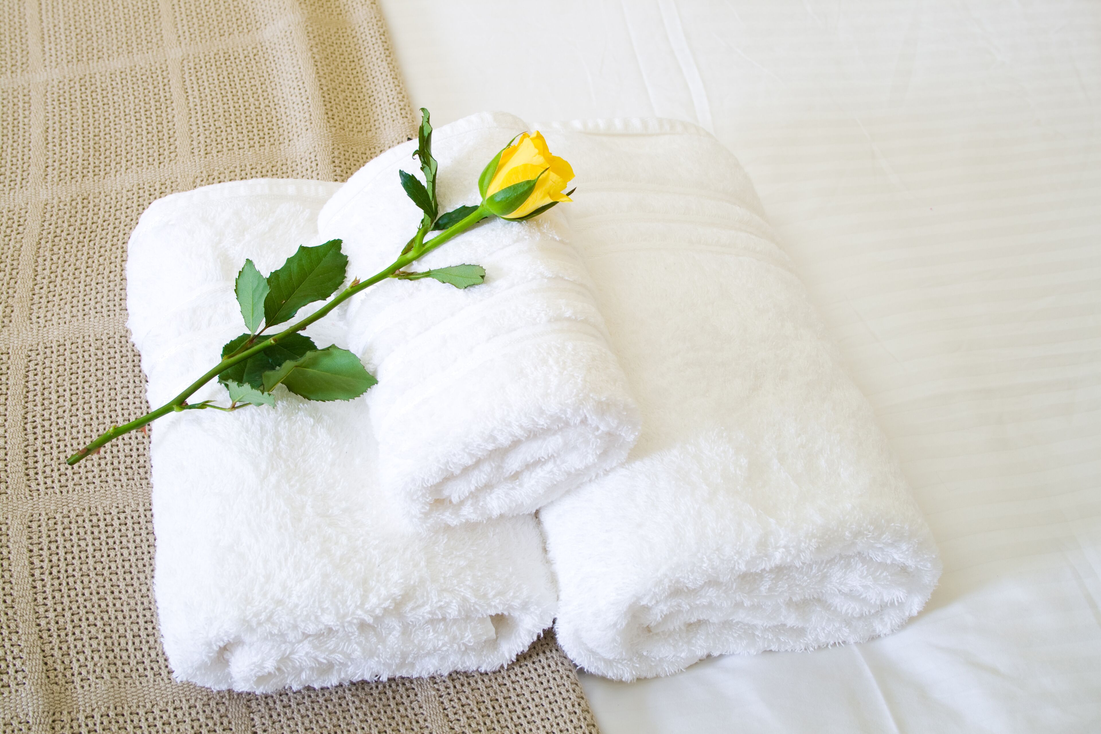 Neatly folded white towels and a single yellow rose placed on a textured beige surface.