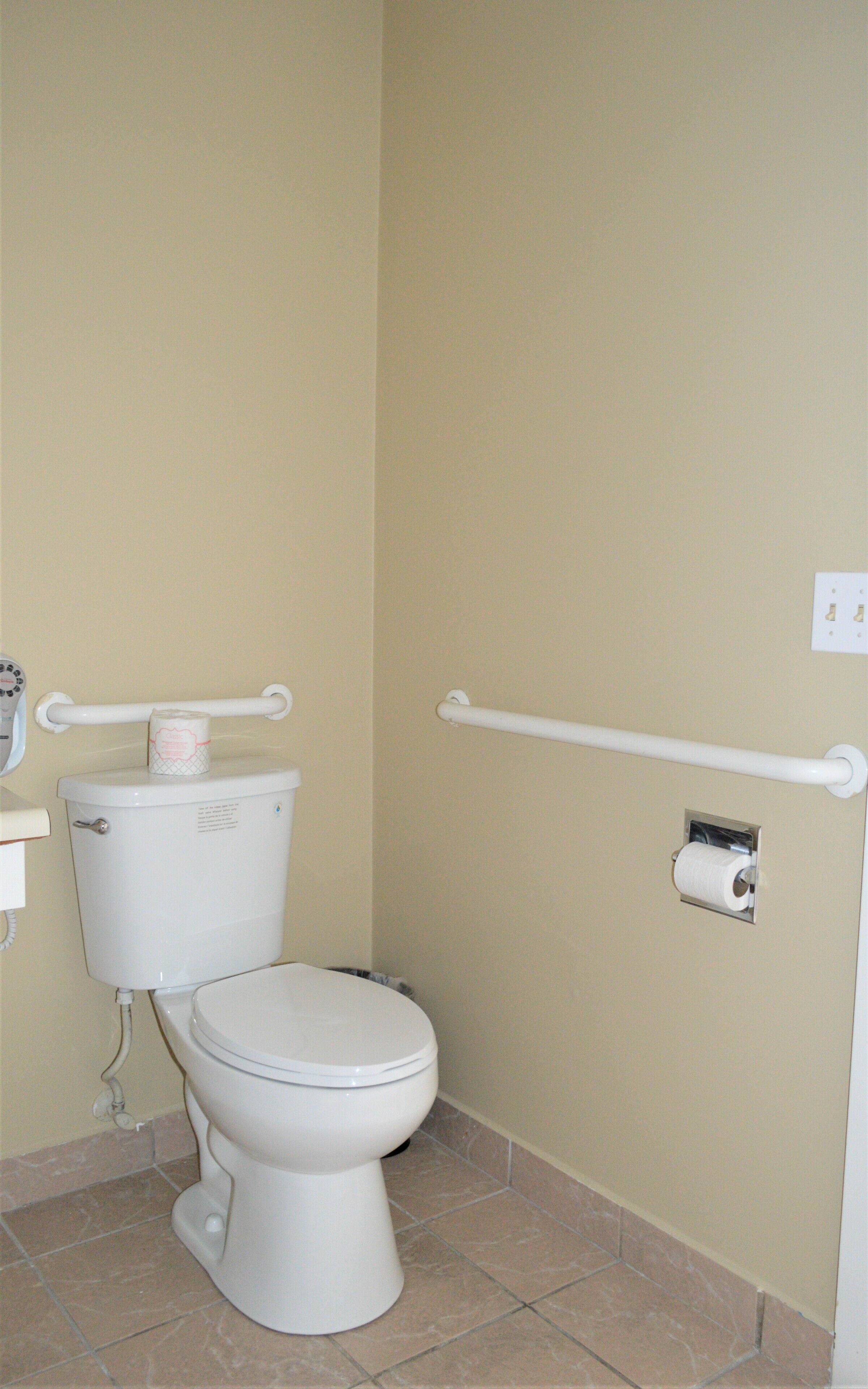 A standard bathroom with a toilet, a toilet paper holder, and a handrail.