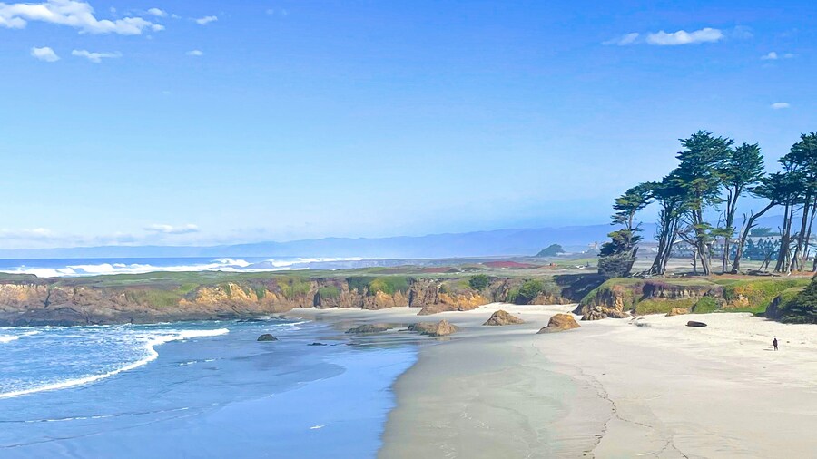 Studio 9 Fort Bragg, LLC.