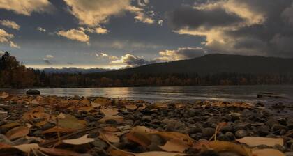 The Tamarack Townhome