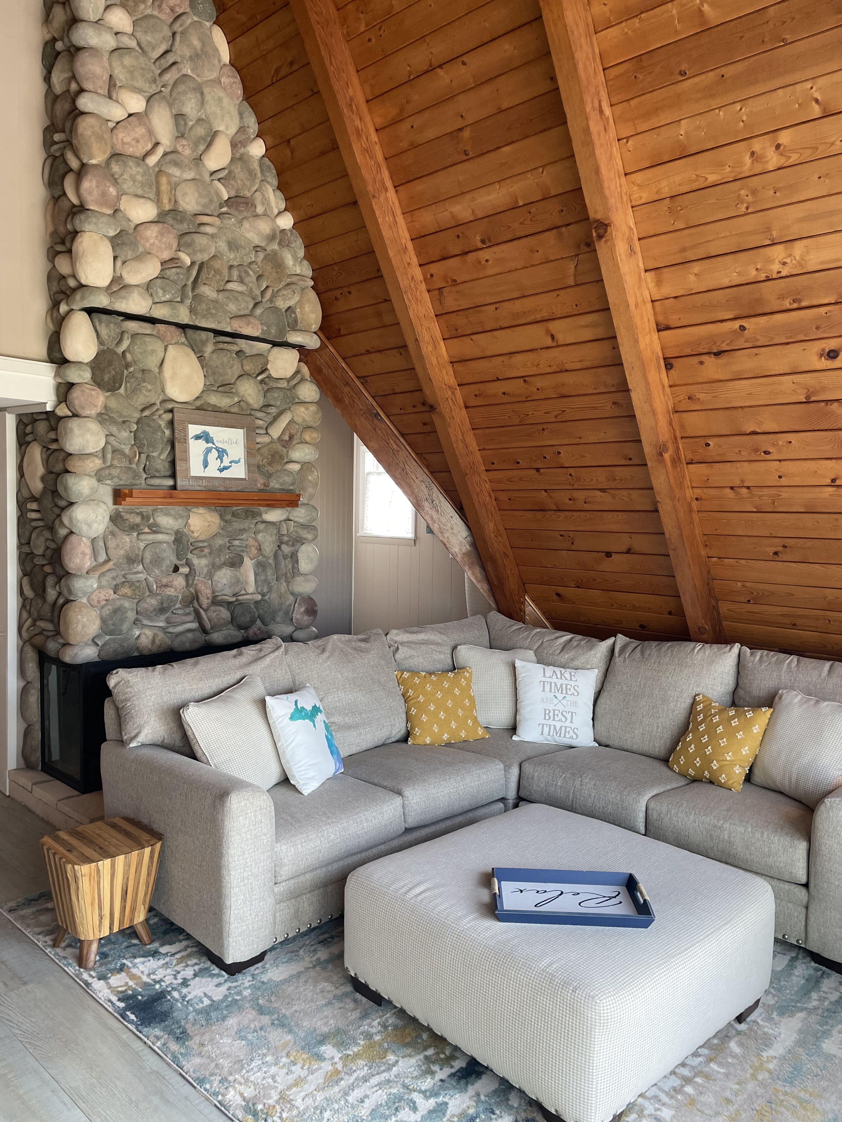 Télévision, cheminée, jeux vidéo, livres