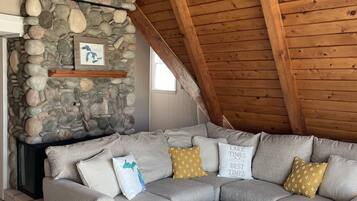 Télévision, cheminée, jeux vidéo, livres