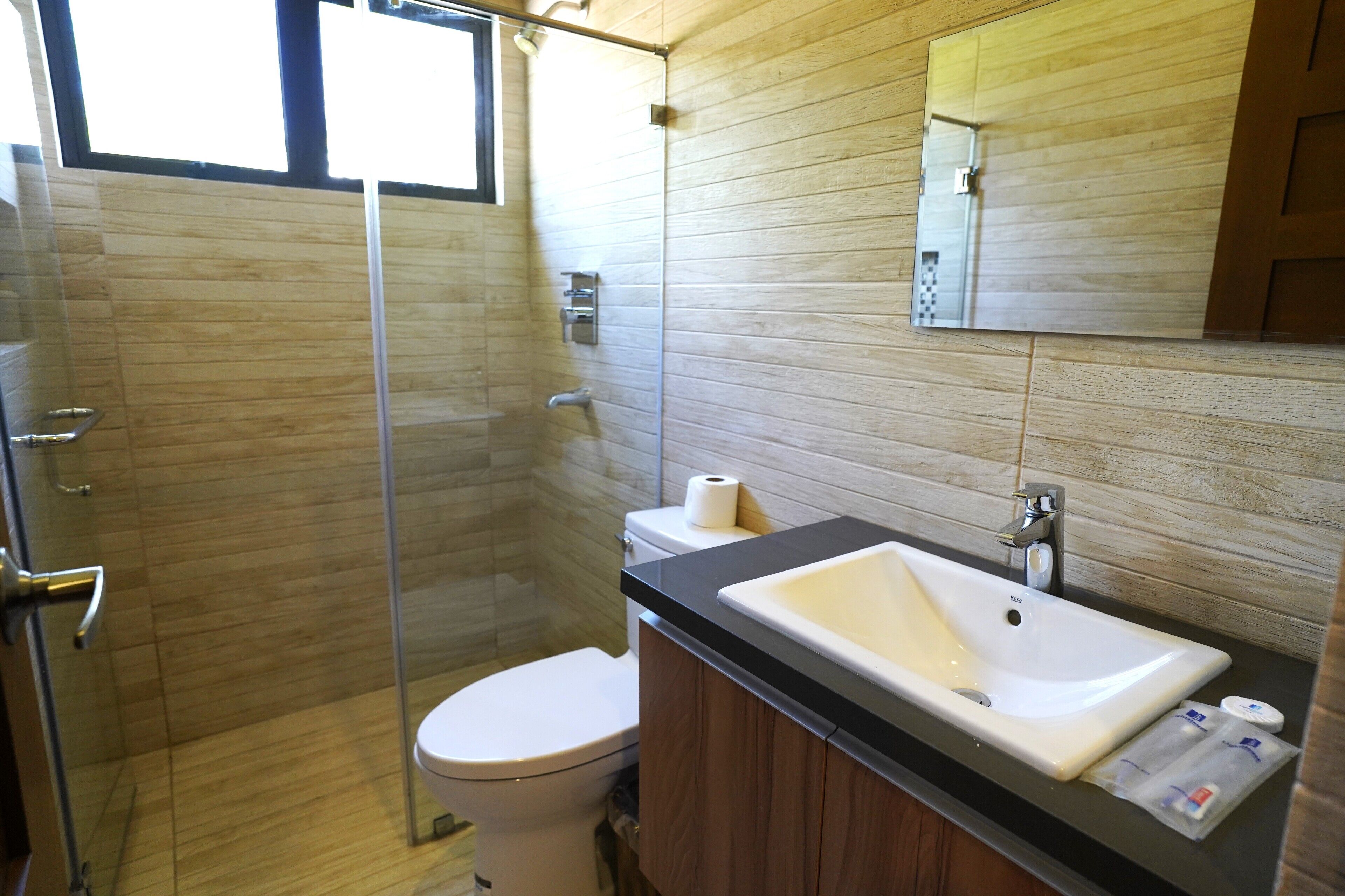 A modern bathroom with a glass shower enclosure, a white toilet, a sink with a black countertop, and a mirror above the sink.