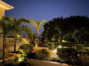 Stroll through the serene garden, surrounded by lush greenery and vibrant flowers, with a pathway leading to a peaceful escape.