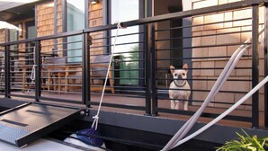 A dog behind a metal fence with a building in the background.