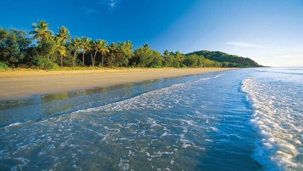 A beach with clear water, palm trees, and a sandy shore. - 5 mins walk to town and beach. Family sized top floor condo! (Port Douglas)