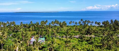 Un paisaje tropical con vista al océano, palmeras y algunos edificios.