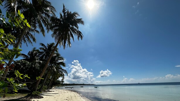 A beach with palm trees, clear blue sky, and calm sea. - Casa Basa Siargao (General Luna)