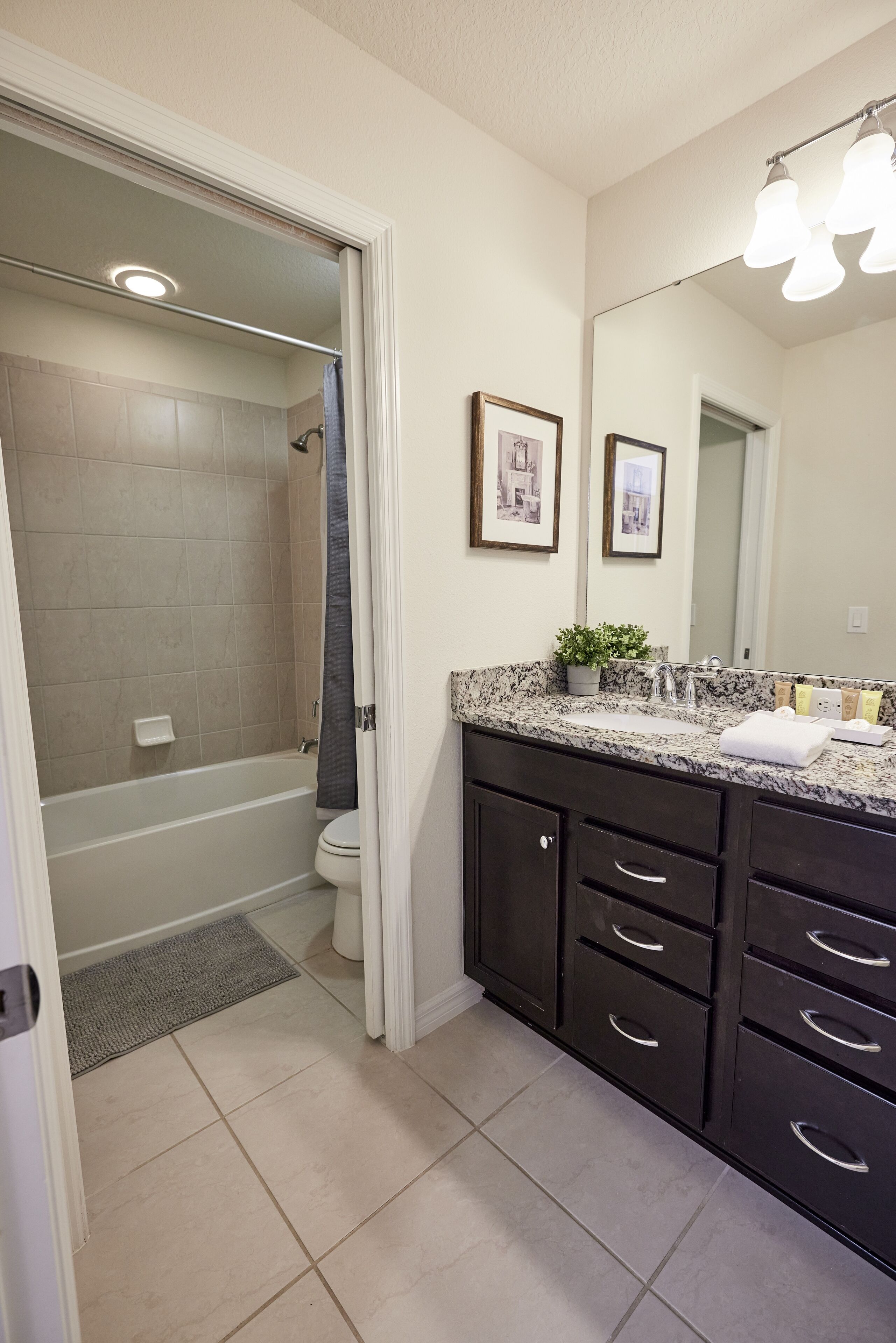 A bathroom with a bathtub, toilet, vanity with drawers, a mirror, and a potted plant.