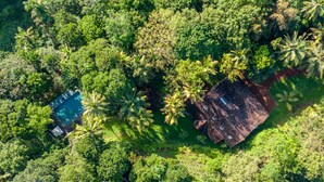 An aerial view of a property surrounded by dense greenery, featuring a swimming pool and a building with a sloped roof. - Quintessential colonial villa with pool and full staff (Habaraduwa)