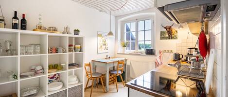 Fridge, oven, stovetop, dishwasher