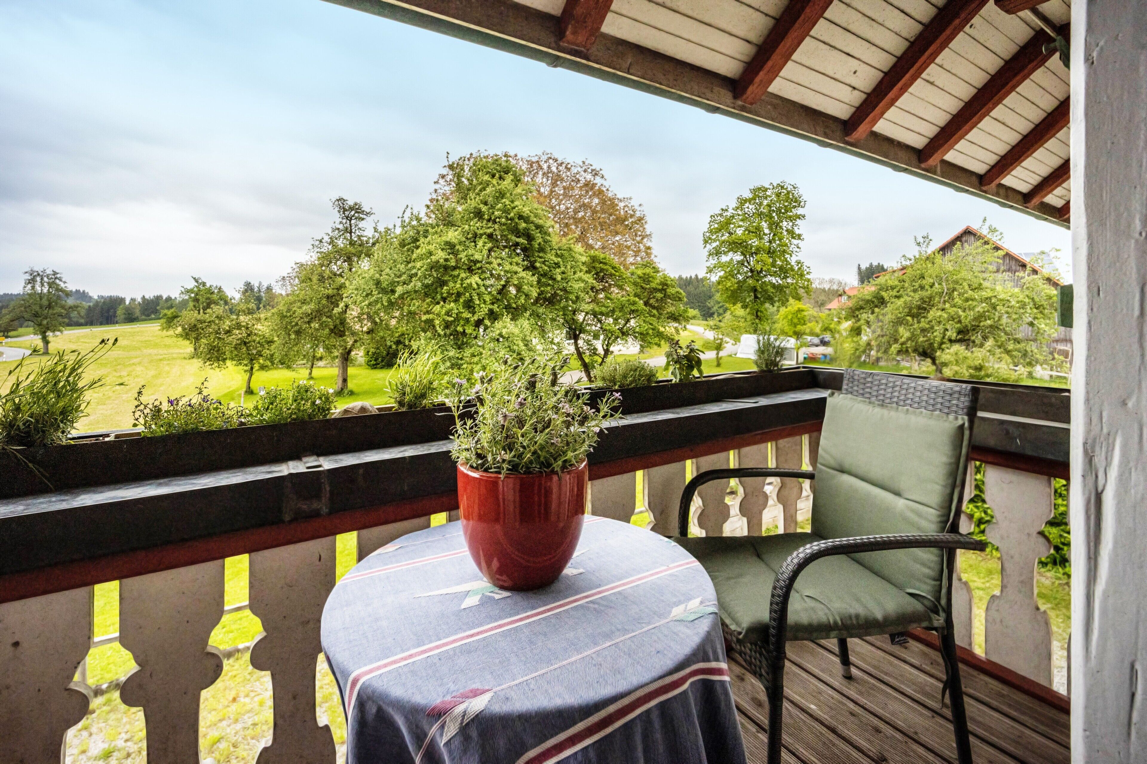 Terrein van de accommodatie