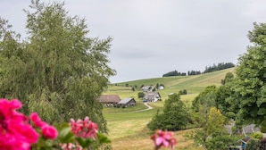Uklassifisert bilde, 5 av 33, knapp
