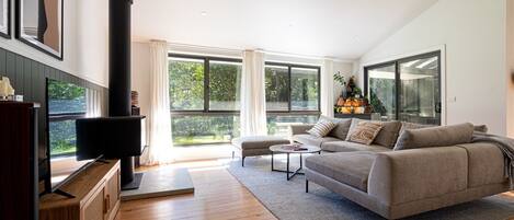 Smart TV, fireplace, books, stereo