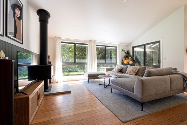 Smart TV, fireplace, books, stereo