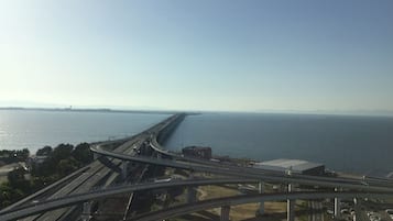 Eksteriør