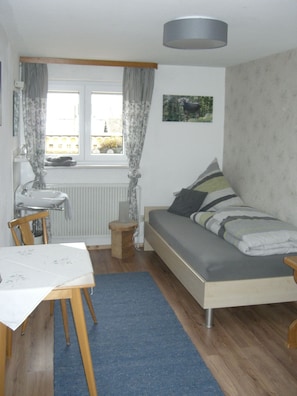 TV, books, stereo - HOLIDAY APARTMENT IN THE ALLGÄU, 10 minutes from Center Park (Altusried)