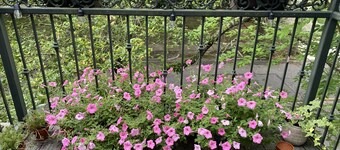Downtown Mobile, AL- 5 Minute Walk to Parades!