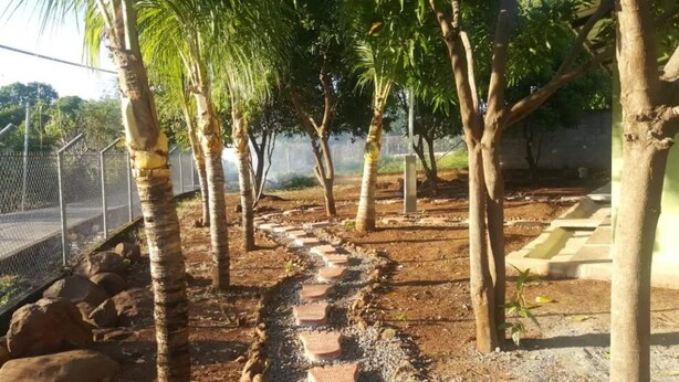 A pathway with stepping stones surrounded by palm trees and a fence.