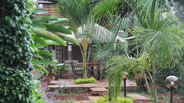 Un jardin avec un sentier, des palmiers et des plantes en pot.