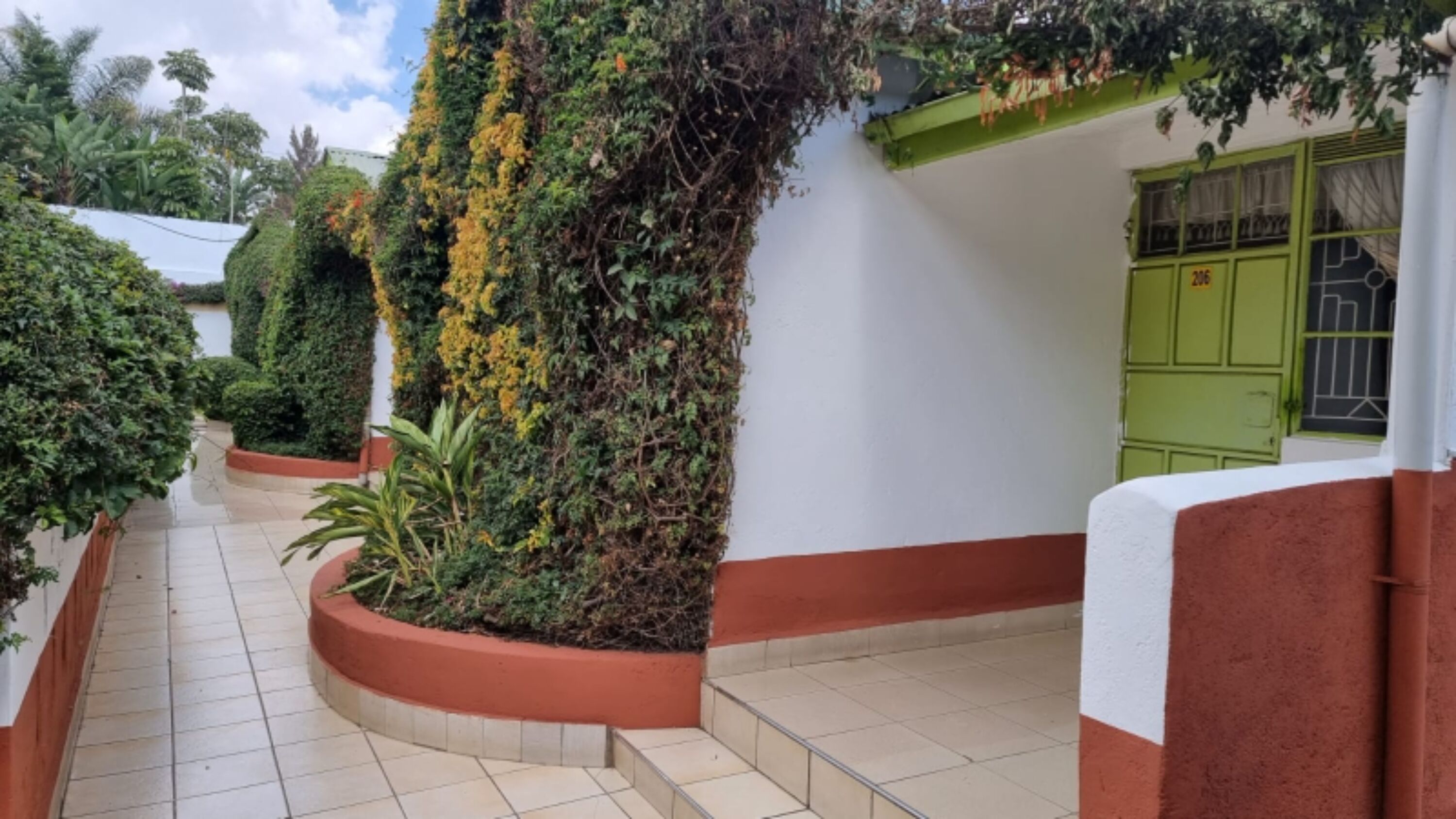 A narrow, tiled pathway leading to a building with a green door, surrounded by lush greenery and a white wall.