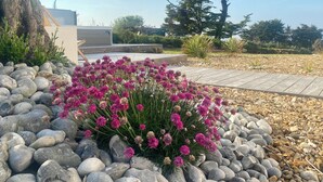Un jardín con un borde de piedra, una terraza de madera y un edificio moderno al fondo.