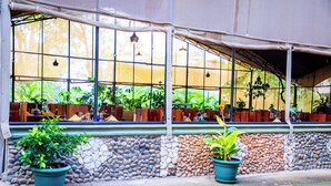 Un espacio de estar al aire libre cubierto con mesas y sillas, rodeado de plantas en macetas y un muro de piedra.