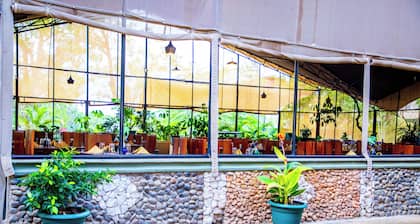 Kisimani Eco Resort & Spa