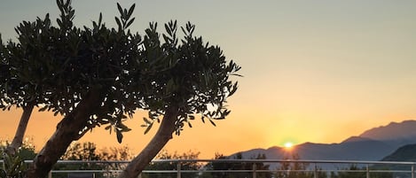A pool with a tiled edge, surrounded by greenery, and a sunset in the background.