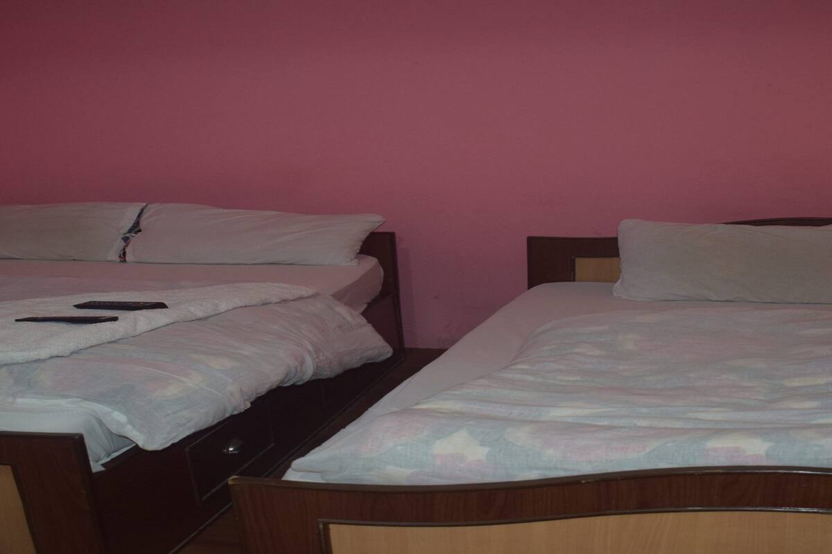 Deux lits simples avec des têtes de lit en bois, dans une chambre aux murs roses.