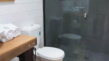 Hair dryer, towels, soap, shampoo