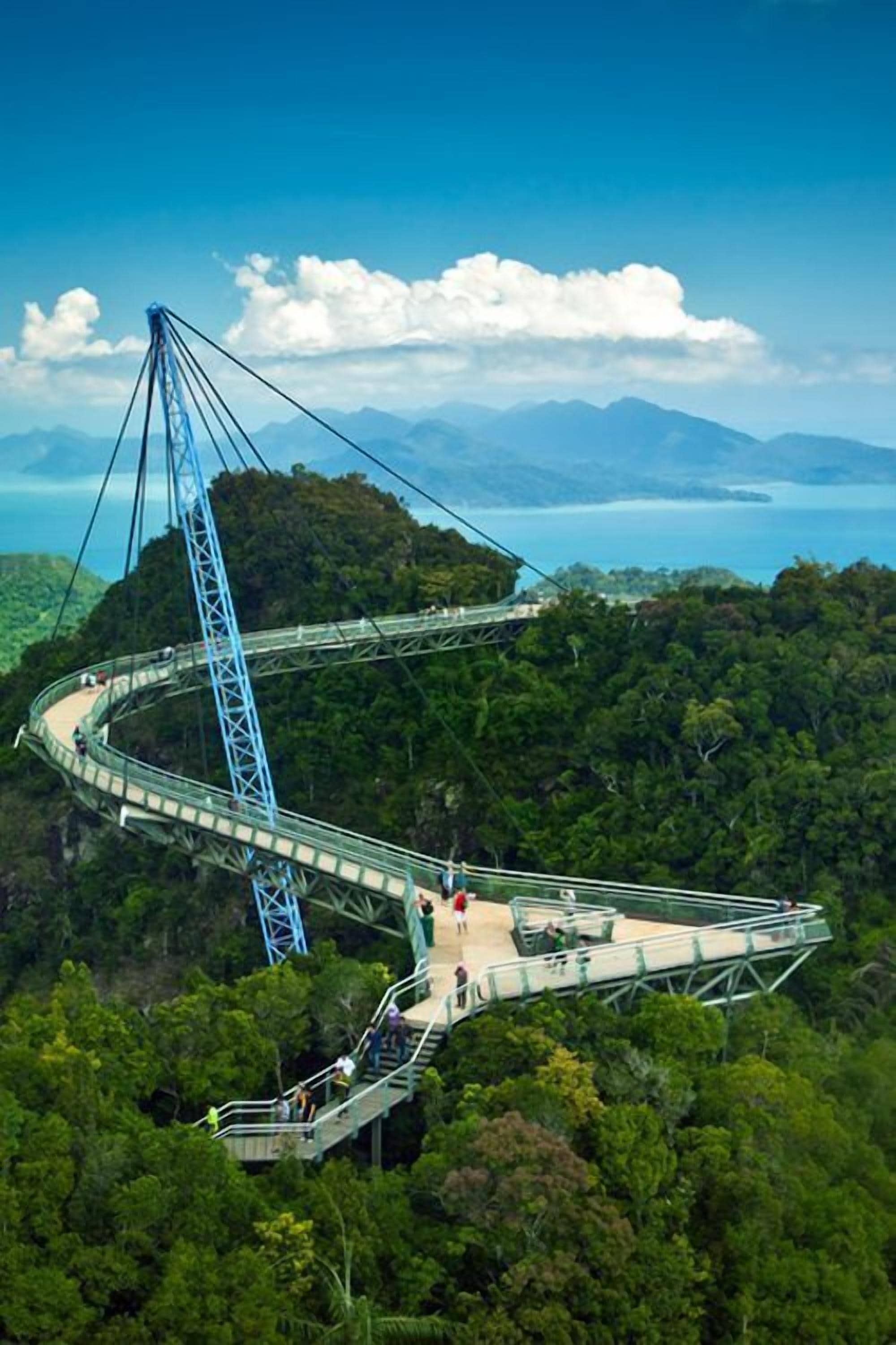 A large suspension bridge with a curved design, surrounded by dense forest and overlooking a body of water.