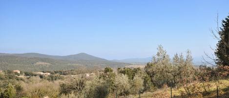 Un muro de piedra con una verja, con vistas a un paisaje rural con árboles y colinas lejanas.