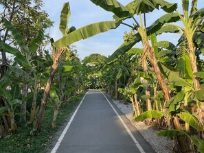 Property grounds - Oasis in the heart of Bangkok (Krung Thep Maha Nakhon)