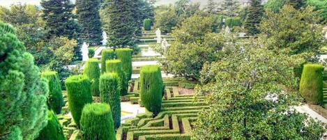 Terrein van de accommodatie