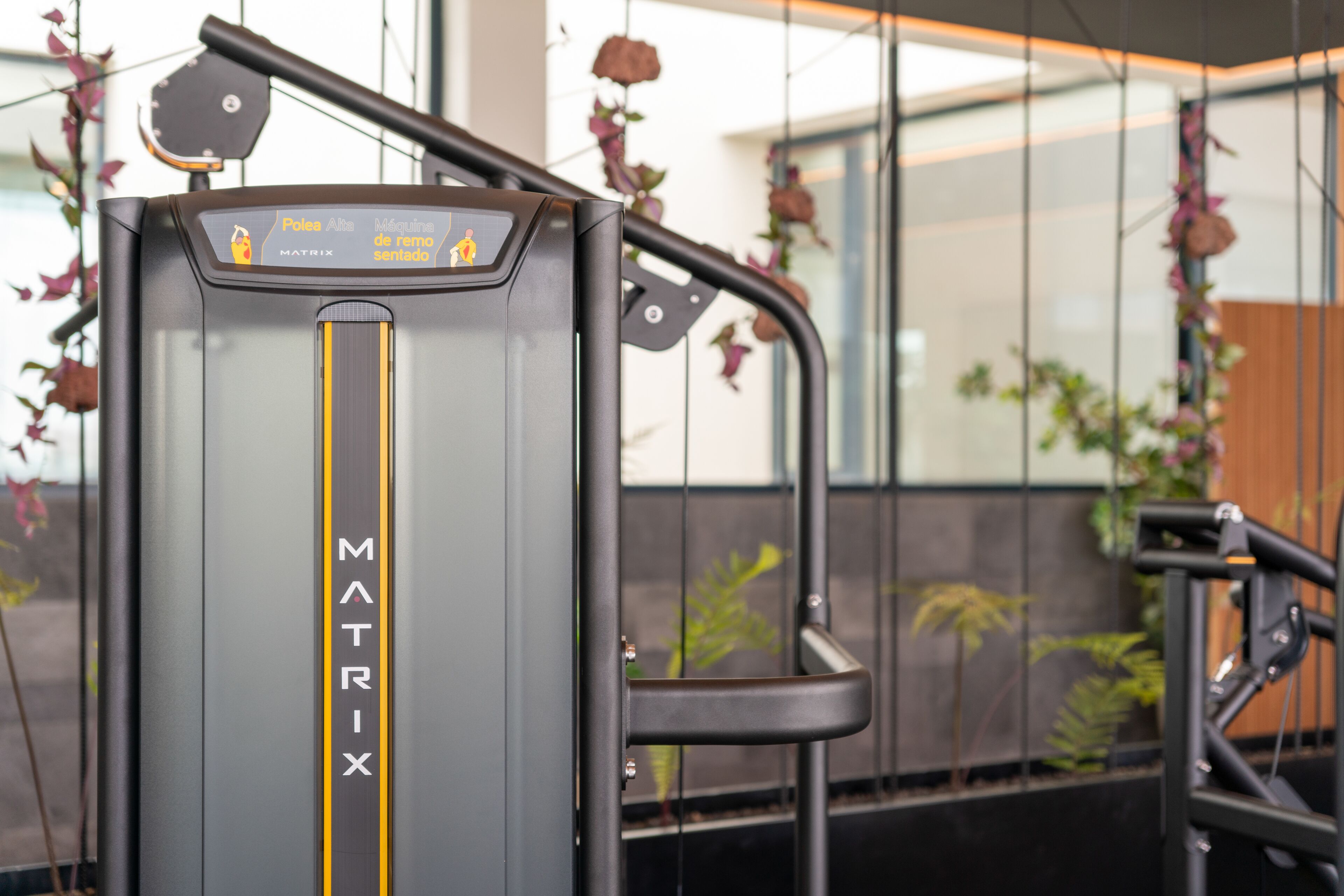 A MATRIX exercise machine in a modern indoor setting with glass walls and indoor plants.