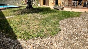 Un edificio de piedra con un gran árbol en el patio, una piscina y una zona de grava.
