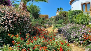 Ein Garten mit verschiedenen Blumen und einer Palme, der zu einem weißen Gebäude mit Ziegeldach führt.