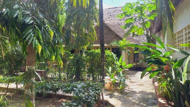 Une cour agrémentée d’une structure au toit de chaume, entourée d’une végétation luxuriante et de plantes en pot.