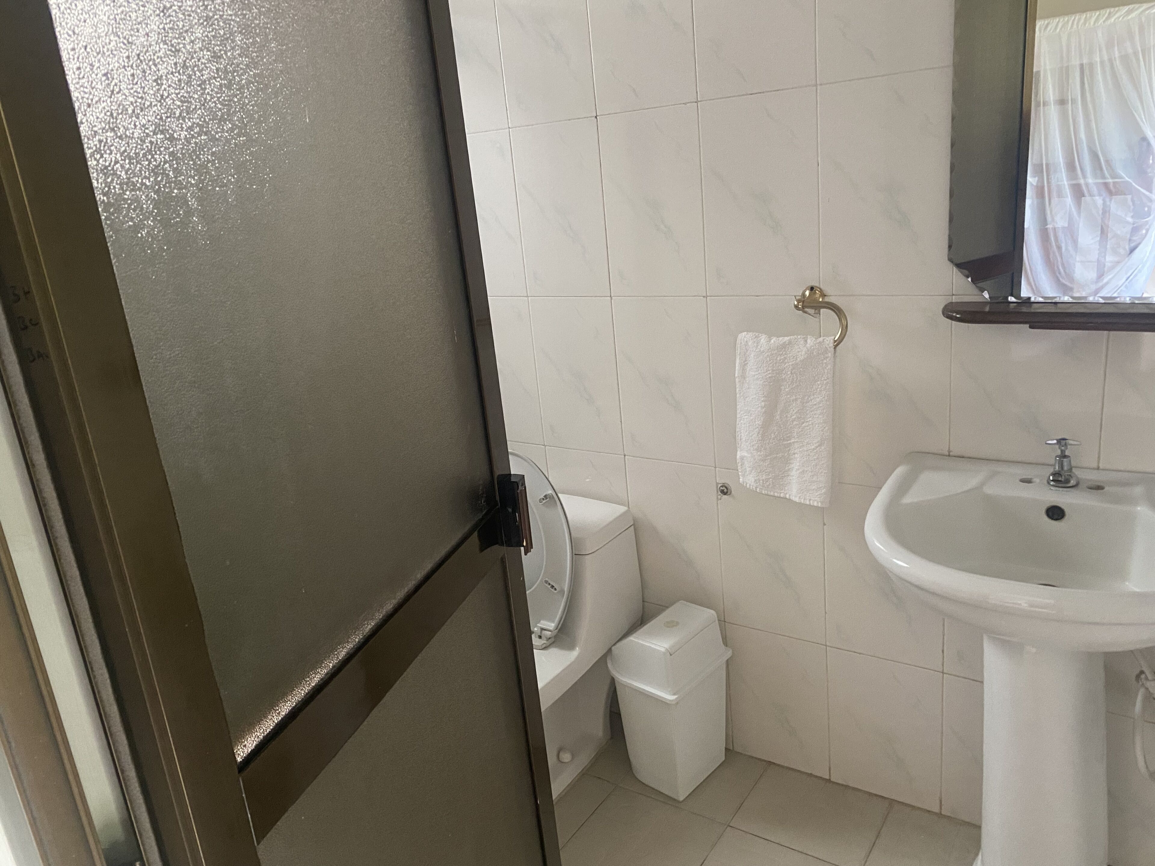 A bathroom with a toilet, sink, and a towel hanging on the wall.