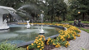 Ein Brunnen mit Statuen und gelben Blumen.