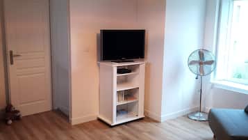 Smart TV, fireplace, books